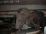 037_2009-0119-1122-36.jpg